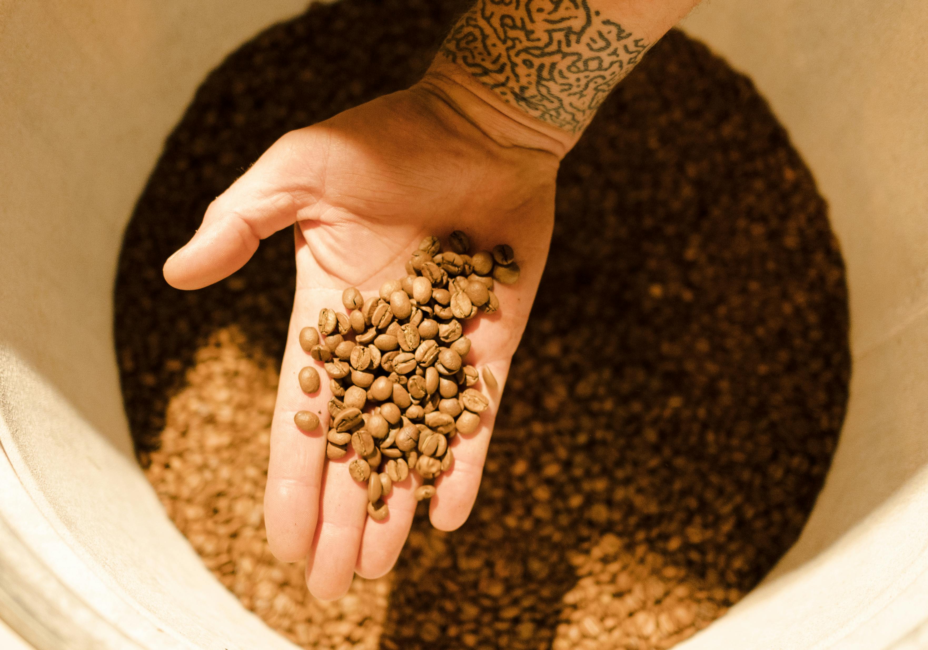 Premium Coffee Selection