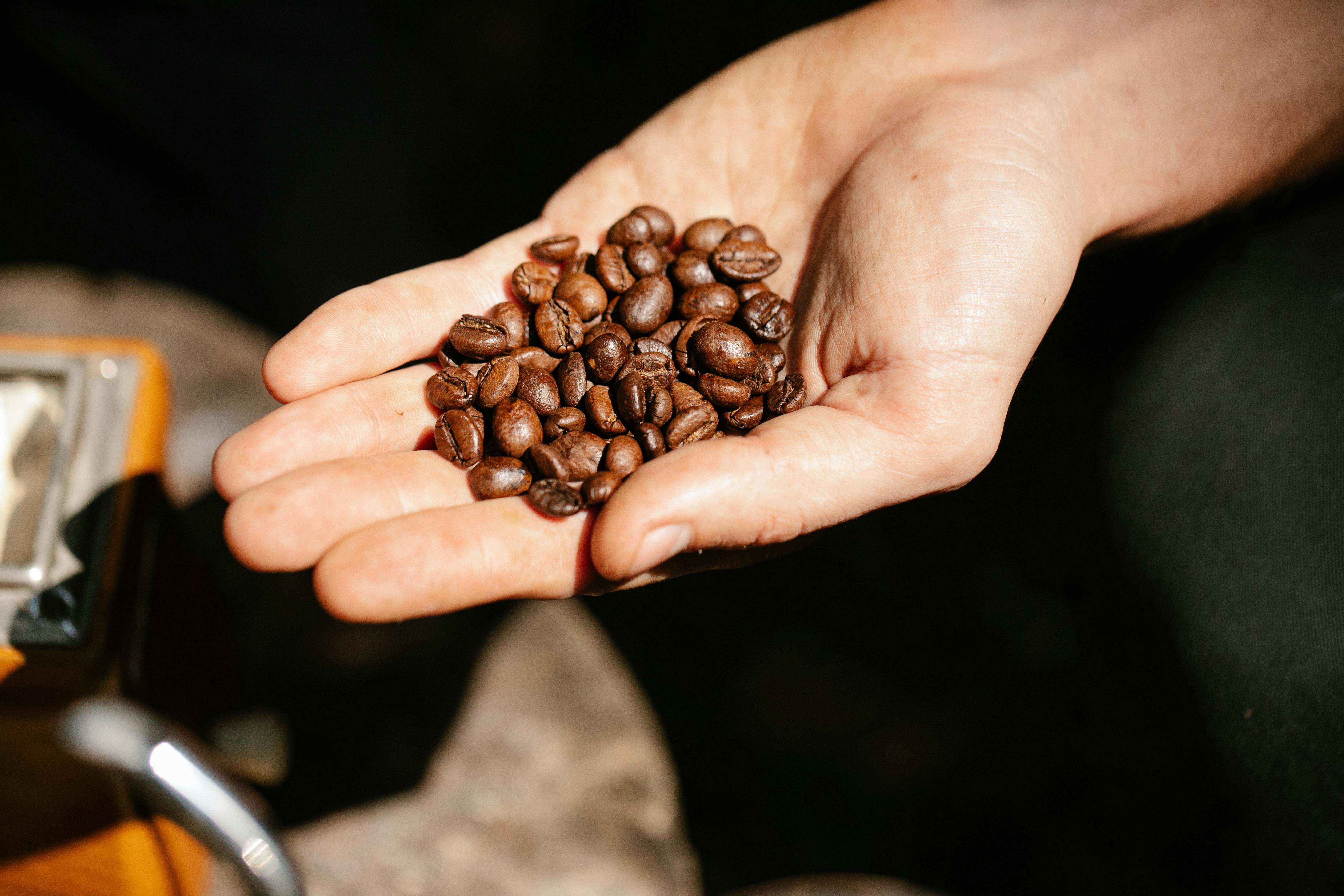 Hand Holding Coffee Beans